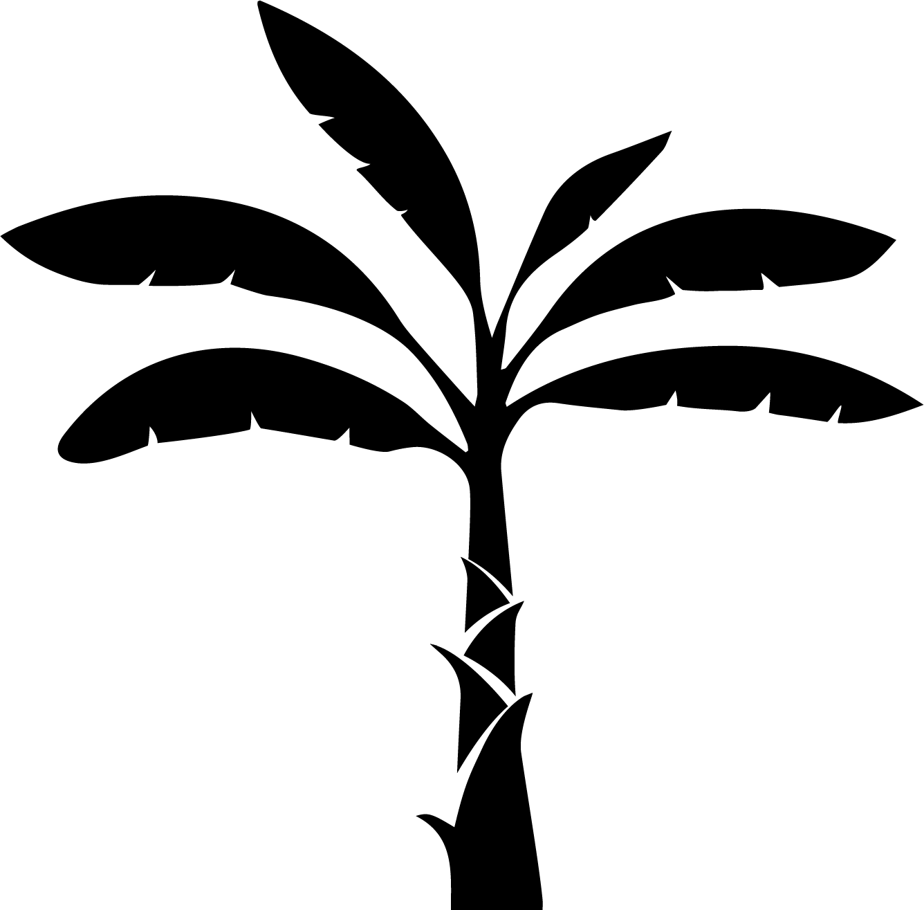Agricultura-2